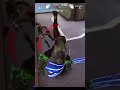 REBORN EXE wolfteam shorts latam momentosrandom REBORN EXE wolfteam shorts latam momentosrandom