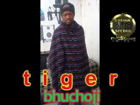 TIGER BHUCHOJI BY LWENGE STUDIO 