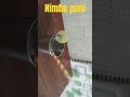 nimbu#majedar#bahut maja aaya#tasty#nimbu#Pani Pani##upar nimbu#pipe