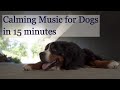 Calming MUSIC FOR DOGS TO RELAX in 15 minutes - Music for Puppies! [W/ Nature Sounds]