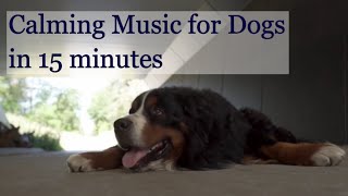 Calming MUSIC FOR DOGS TO RELAX in 15 minutes - Music for Puppies! [W/ Nature Sounds]