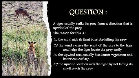 A question on Reasoning | CSIR-NET Dec 2016 | General Aptitude | July Mary Mathew