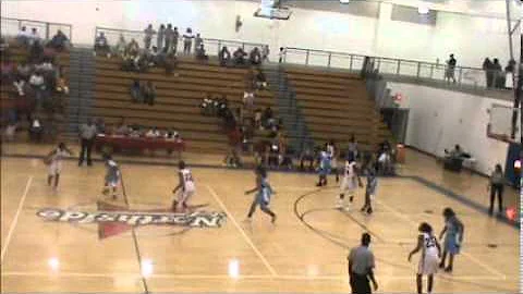 Shantae Robinson WBCBL Highlights