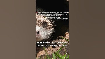 Can Compost Really Make Your Soil Sing?