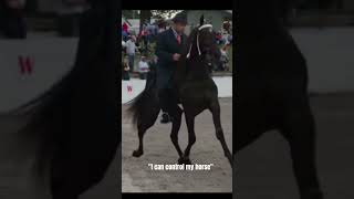 The differences between big lick and saddleseat||Addygirl The differences between big lick and saddleseat||Addygirl