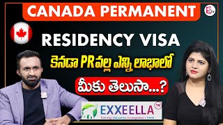 Exxeella Immigration Services | Apply For Canada Permanent Residency Visa | SumanTV Life