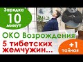 Утренняя зарядка: пять тибетских упражнений или жемчужин // Око Возрождения // 5 тибетцев