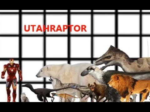 Are Elephants Mammals >> Zooming Size Comparison--Dinosaurs v Mammals - YouTube Are Elephants Mammals >> Zooming Size Comparison--Dinosaurs v Mammals - YouTube