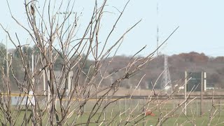 Police say deaths of 2 East Moline teens found in running SUV an accident