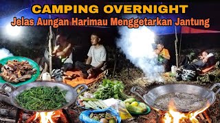 AUNGAN HARIMAU MENGGETARKAN JANTUNG | CAMPING OVERNIGHT, COOKING