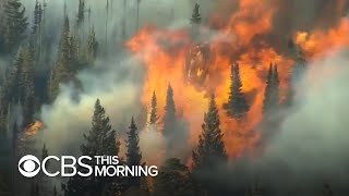 Historic wildfires burn hundreds of thousands of acres throughout Colorado