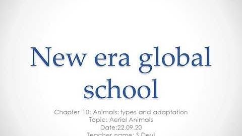STD 4 science chapter 10 Animals types and adaptation topic:aerial animals Date:22.09.20