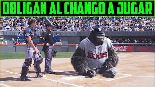 EL GORILA QUE JUEGA BEISBOL  MR GO  RESUMEN EN 15 MINUTOS