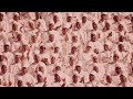 Jay Electronica, Dr. Wesley Muhammad PhD - Blood Libel. Who's That Lying On God? [Official Audio]