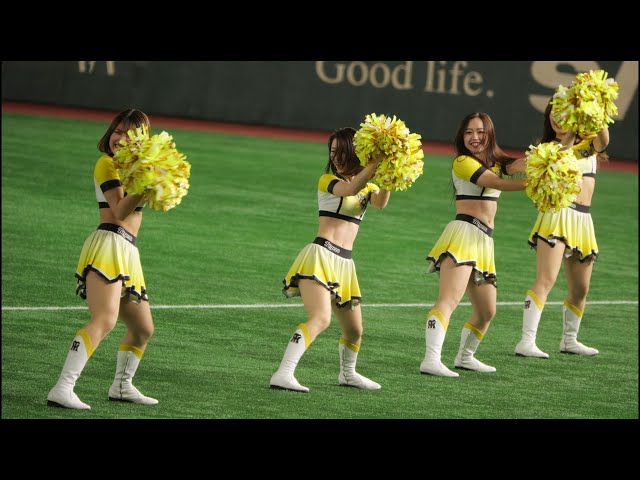 タイガースアカデミーチア　150センチリボン付き 紅ちゃん on X: 