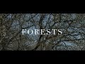 Forests  soft piano  luke faulkner