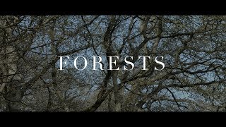 "FORESTS" | SOFT PIANO | Luke Faulkner screenshot 4