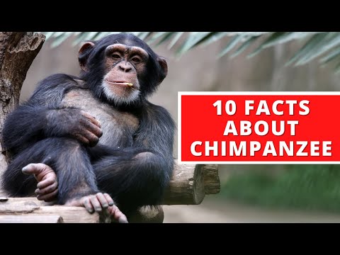 10 Interesting Facts