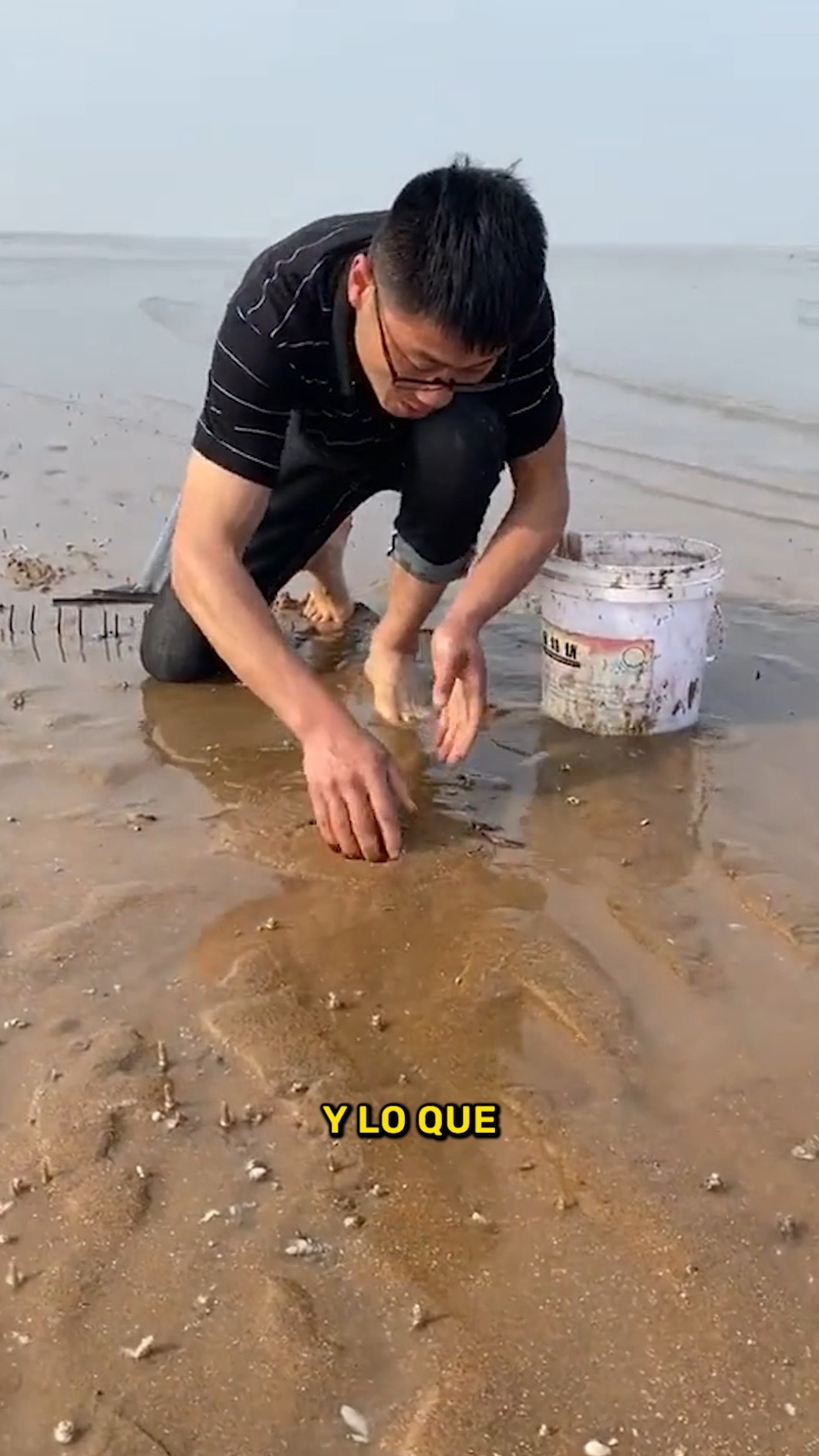 ¡Nunca camines descalzo aquí! ⚠️?