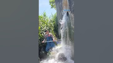 Cá Lớn - bắt Cá Chép Khủng rơi khỏi cống nước 😱 #khacthuyvlogg