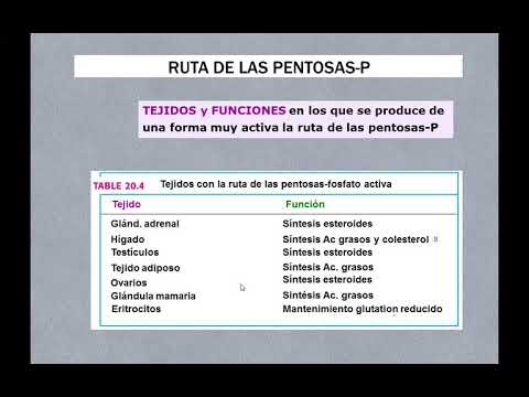 Vídeo: Quin és l'objectiu de la fase no oxidativa de la via de la pentosa fosfat?