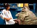 Kelly LeBrock convierte a un hombre grosero en un gran idiota | Ciencia loca | Clip en Español