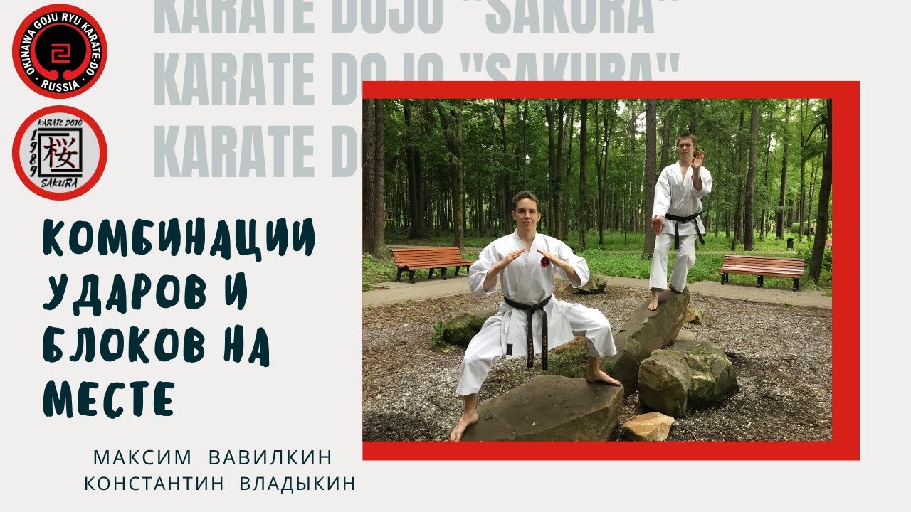 Курилко богдан годзю рю