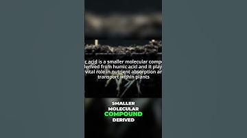 Unlocking Soil Health: Humic vs Fulvic Acid Explained!