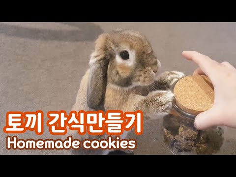 homemade cookies for rabbit DIY 쉽고 간단한 토끼 간식 쿠키를 만들어보자 홈메이드 반려동물 간식/ウサギDIYのための自家製クッキー