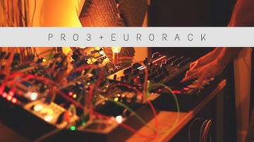 Synced - Sequential Pro 3 [ Eurorack Ambient]