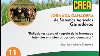 Reflexiones sobre el negocio de la invernada intensiva en sistemas agrícola-ganaderos