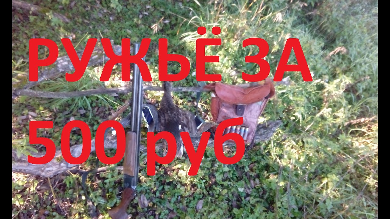 Торги гов авто