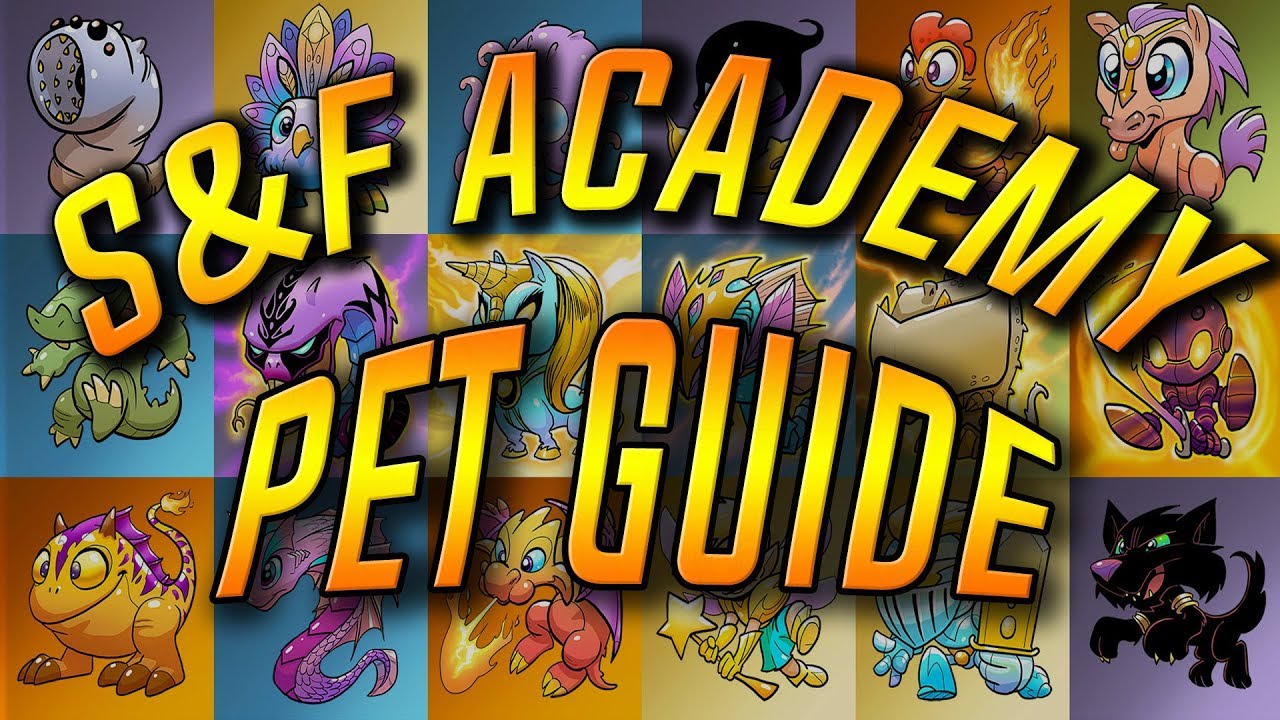 Shakes&Fidget Academy - Pet Guide