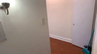 3 bedroom - Windsor Terrace