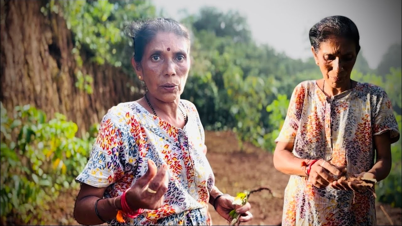 ಕೇಪುಲ ಗಿಡದ ಬೇರಿನ ಉಪಯೋಗ | Village Style Cooking | 