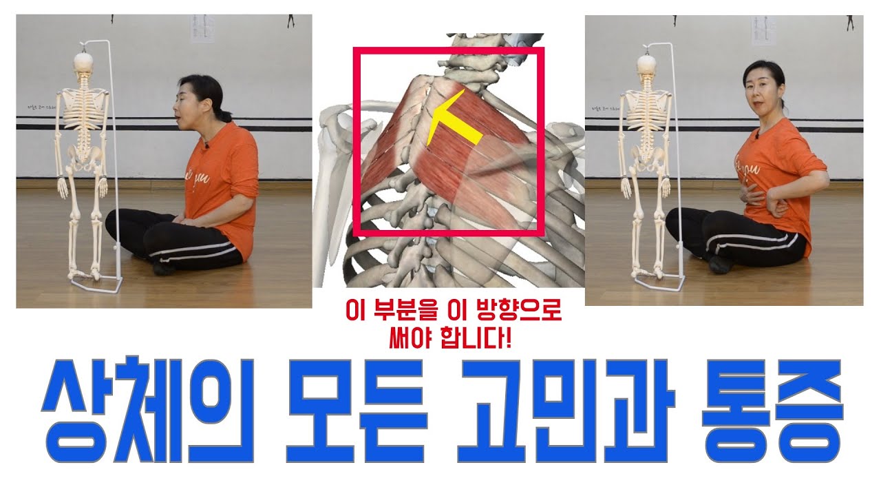 [마름모코어 시즌 1-106] 상체고민과 통증탈출 / 척추와 갈비뼈의 파묻힘 / 어깨뼈의 움직임으로 늘어난  근육들 / 상후거근과 어깨뼈의방향으로 해결