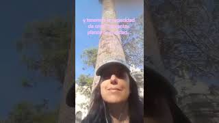 Somos Seres Multidimensionales Ántica Íavibracional