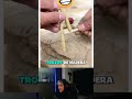 Life Hacks Con Nudos 😱