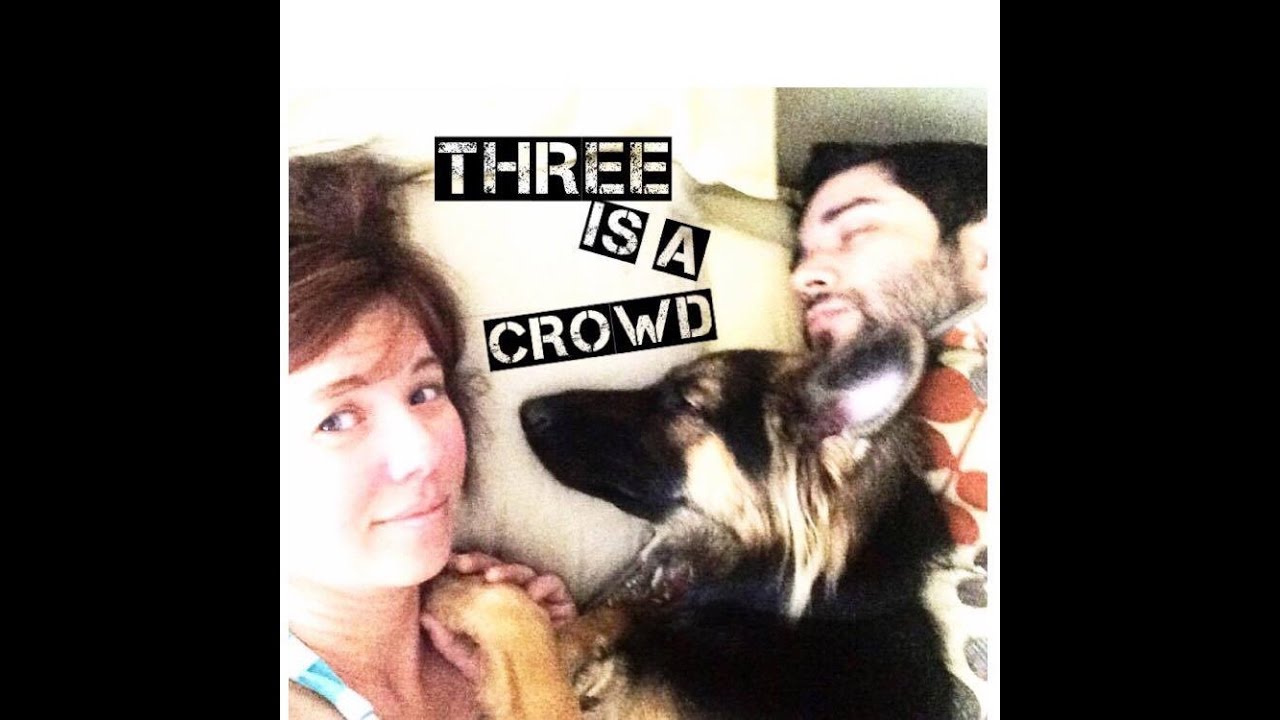 raising a german shepherd in an apartment