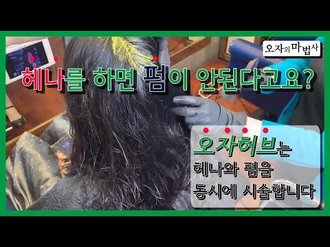 헤나를 하면 펌이 안된다고? 오자허브는 동시에 합니다!