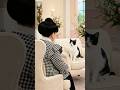 徹子の部屋 #猫 #保護猫