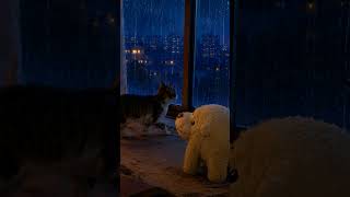 Blue Lamp Rain | Quick Calm for Study & Sleep