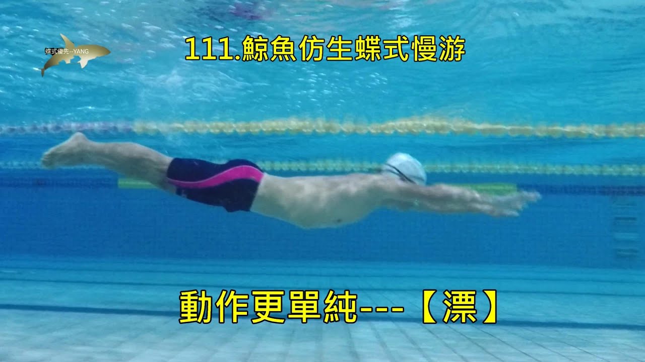 111.鯨魚仿生蝶式慢游/蝶式輕鬆慢游/蝶式問題與矯正【6】