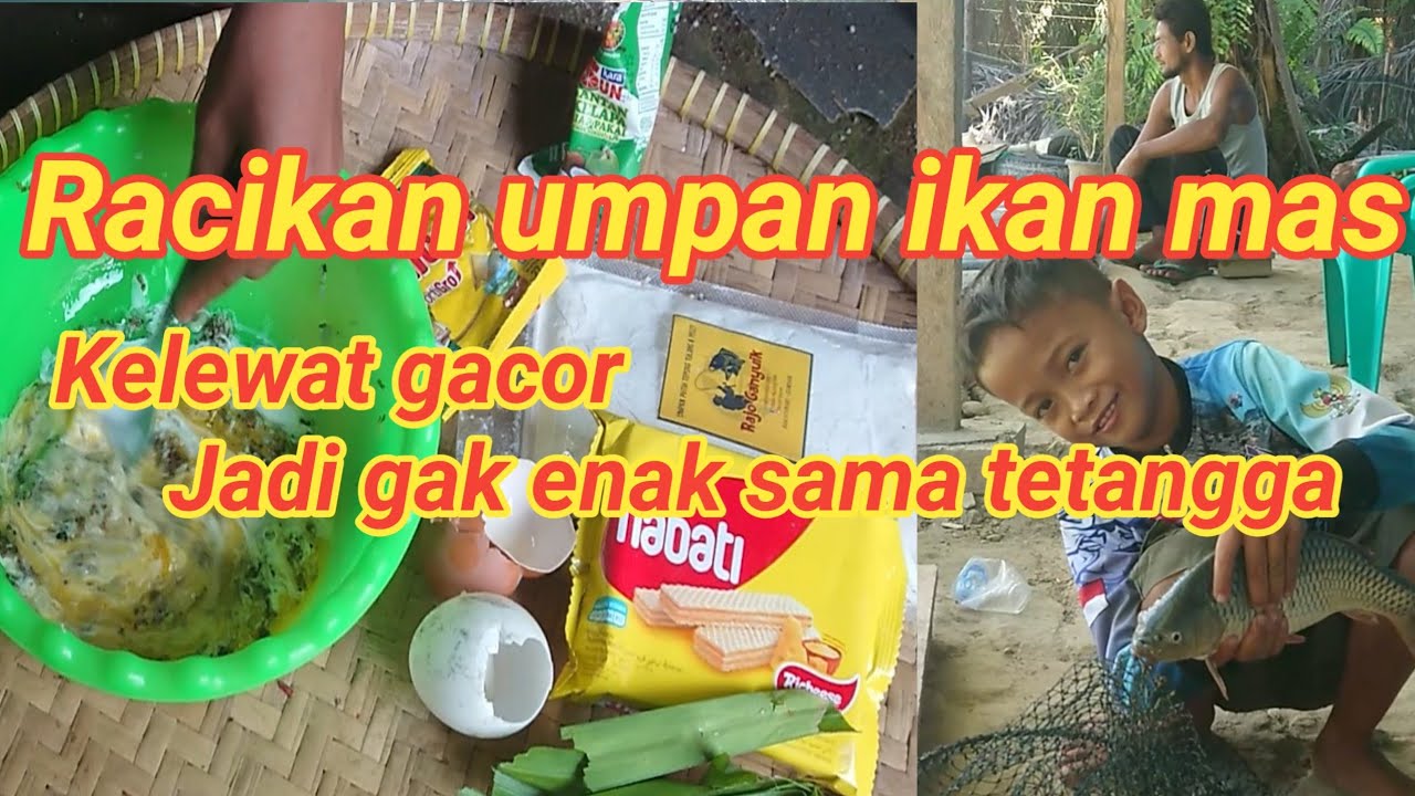 Umpan ikan mas tepung tulang ikan ampuh, strike terus bikin gak enak
