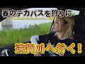 春のビックバスを釣りに遠賀川へ行く!【春のビックバスプロジェクト#4】