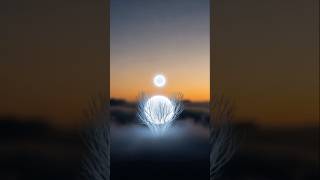 Spark of Life