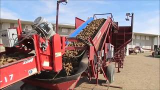 Unloading Potatoes into Storage 2017