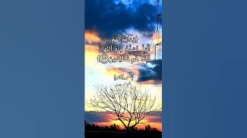 سورة يس الآية ٣٦ الى ٤٠ بصوت الشيخ محمد ايوب #قرآن #القران_الكريم_في_الصباح
