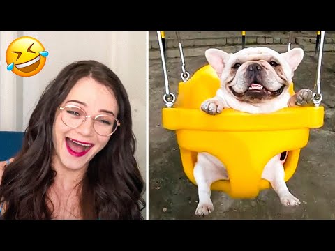 Reactions to the Funniest Animal Videos 😂 Try not to laugh Challenge