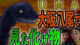 【UMA】大阪・八尾で見た化け物！！